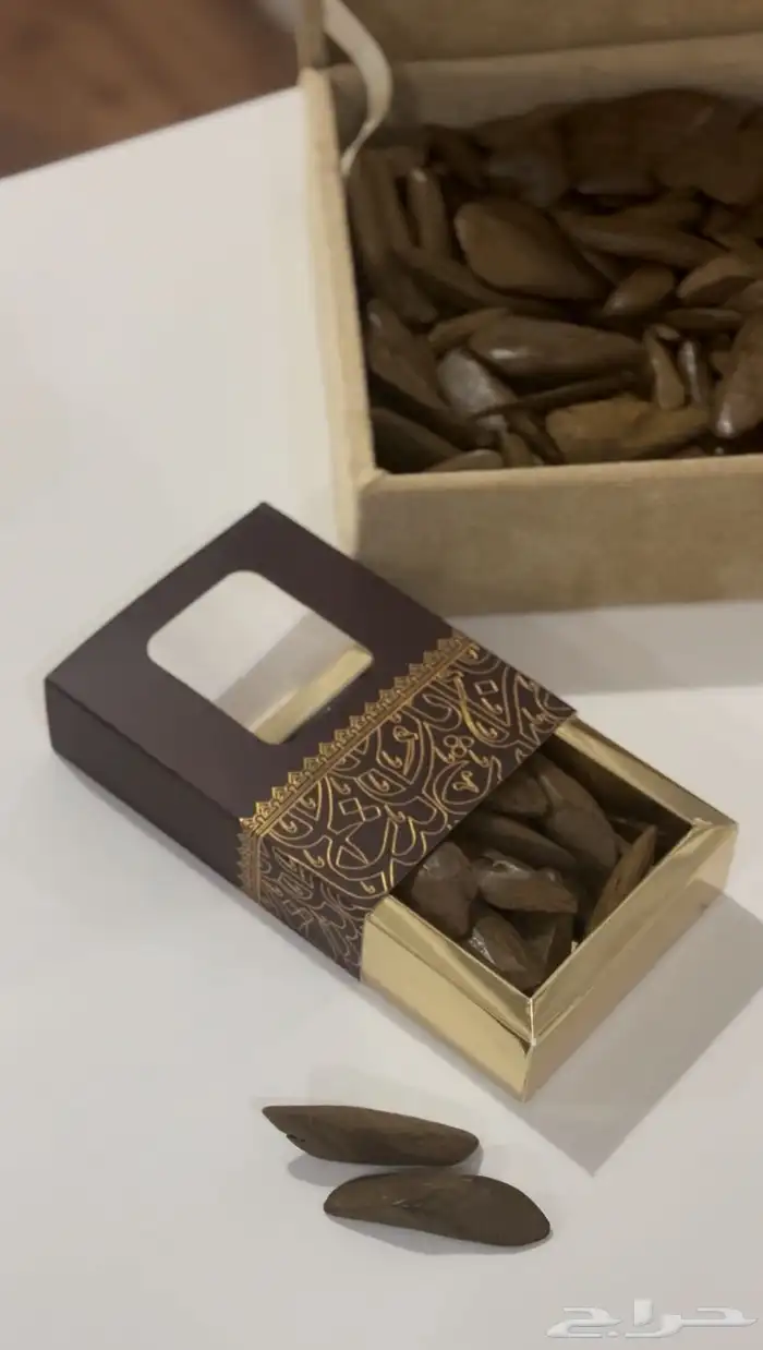 عود 1
