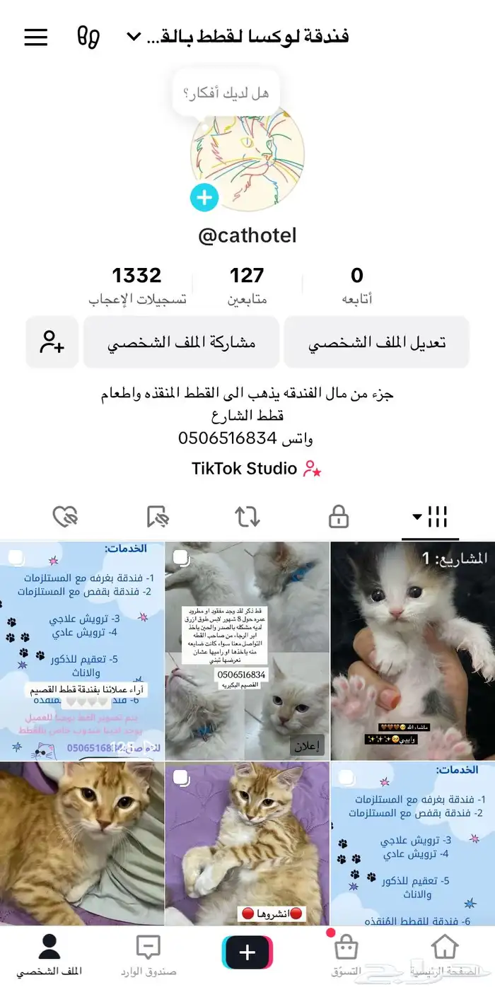 فندقة لوكسا لقطط القصيم 20