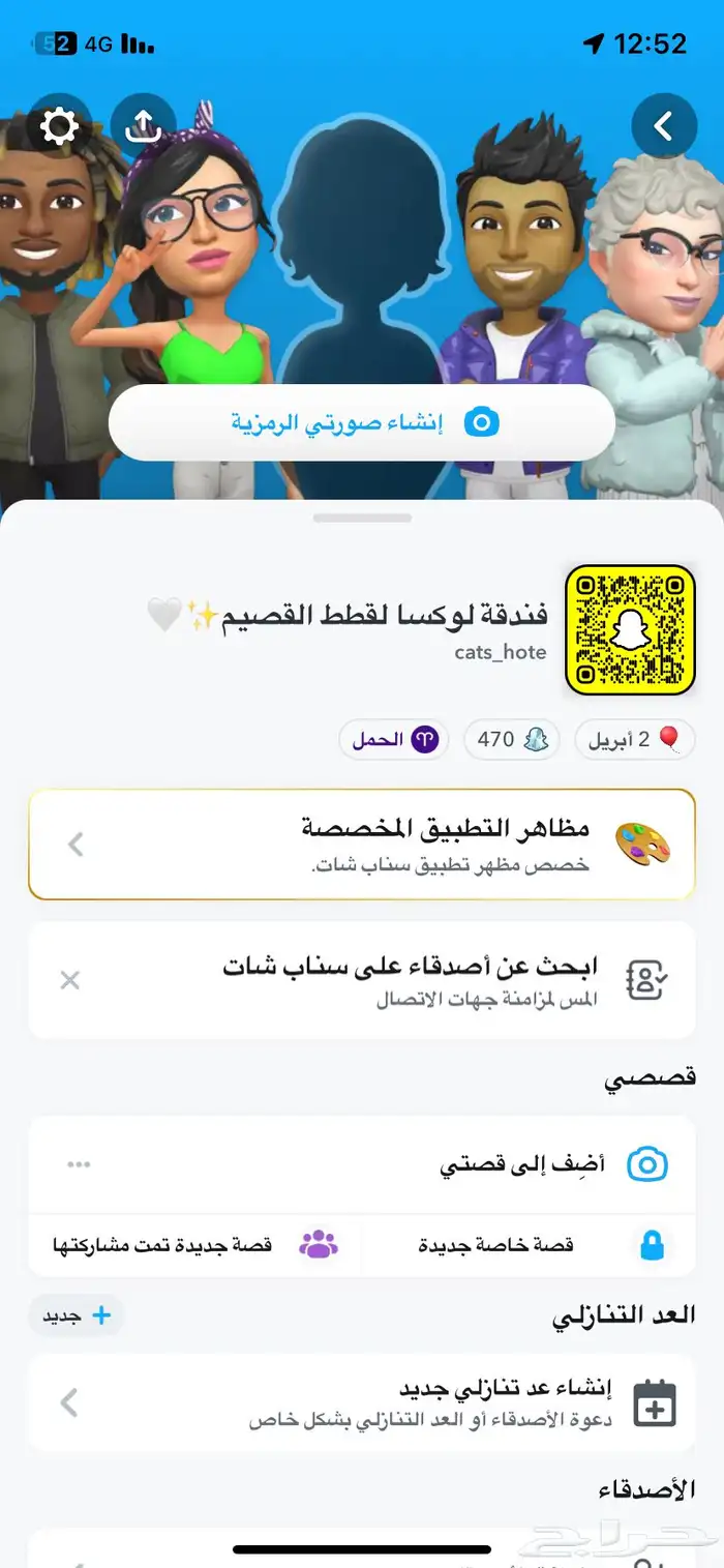 فندقة لوكسا لقطط القصيم 19