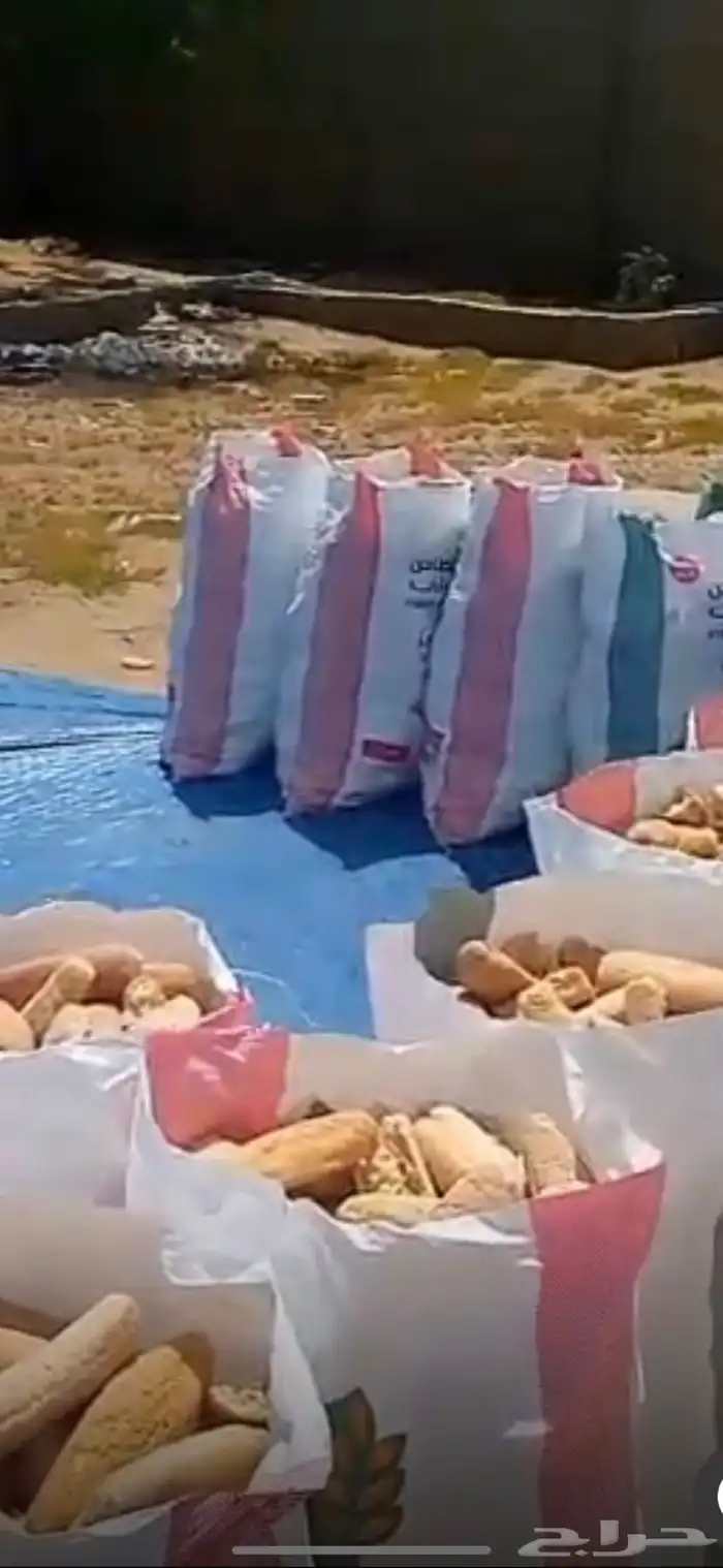 خبز اغنام. ناشف. نظيف على الشرط. في صامولي وشامي 1