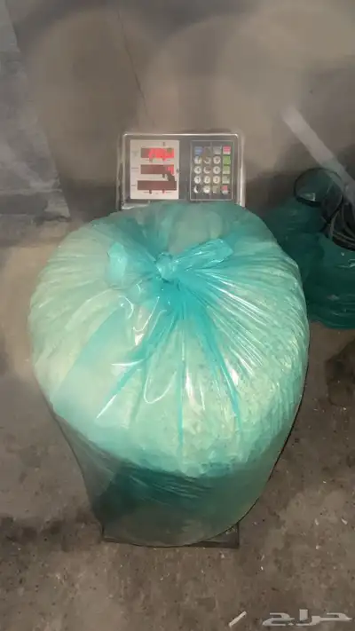 كسر نشارة ممتازة لميدان سباق الخيول 2