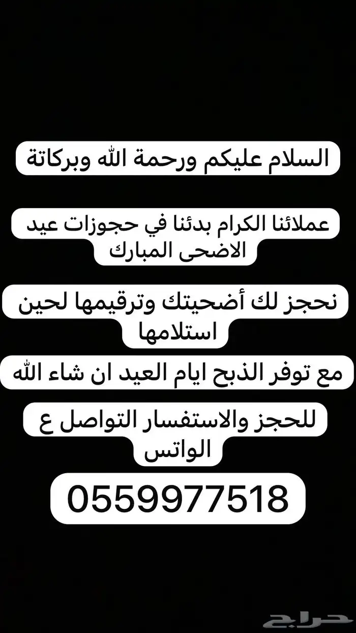 اضاحي حائل 0