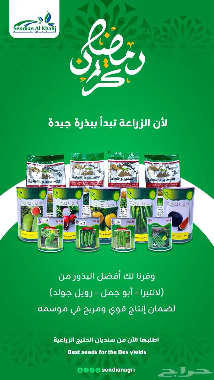 مصمم جرافيك 18
