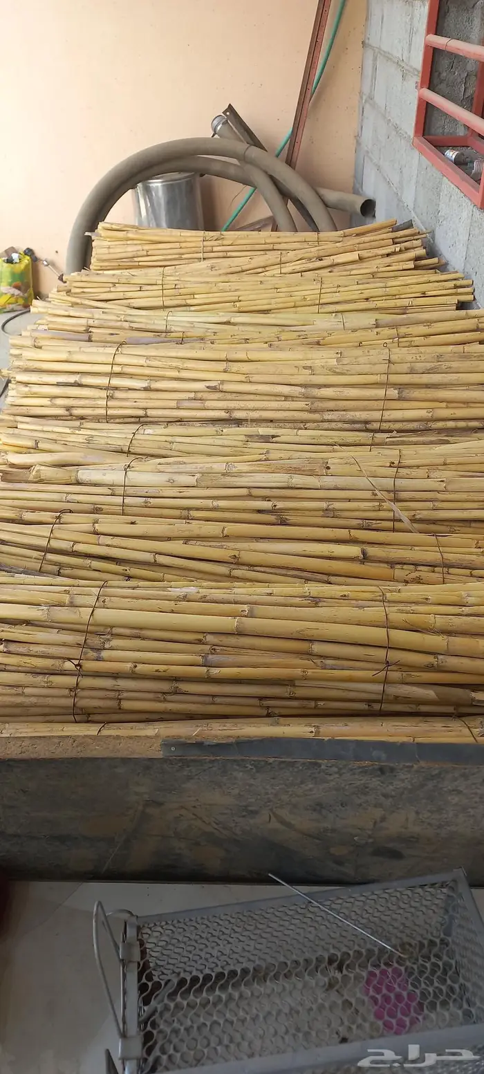 سندات للاشجار 1