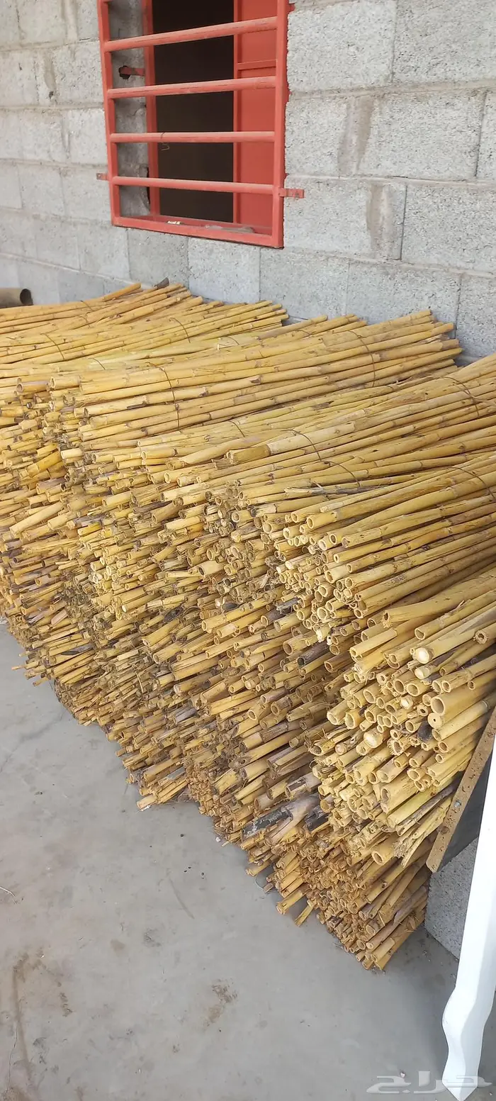 سندات للاشجار 2