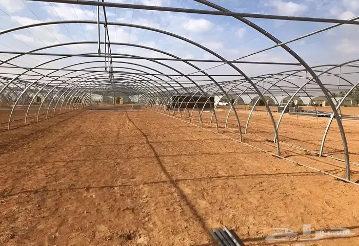 للبيع حديد بيوت محمية جديد 3