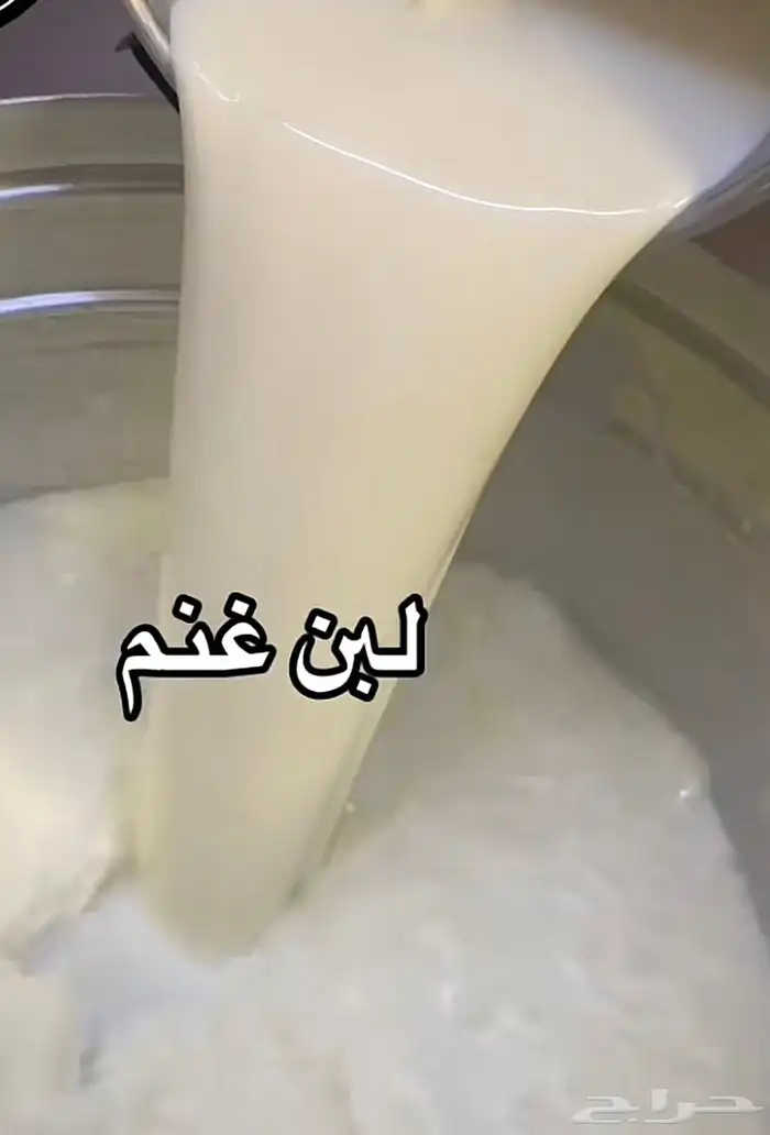 لبن غنم  سمن  بقل 4
