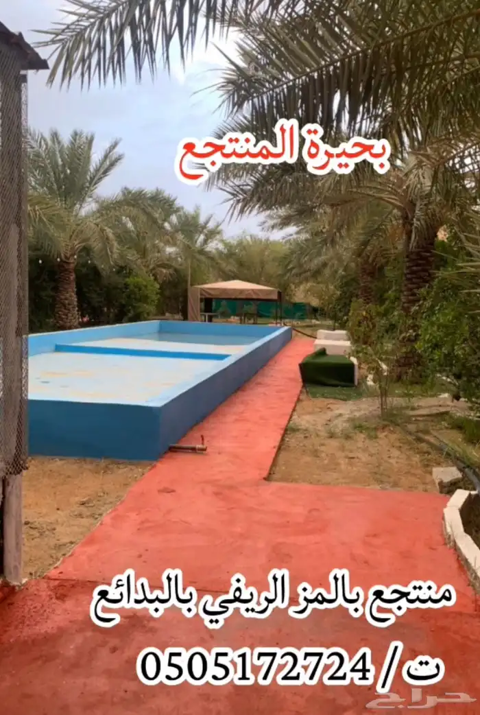 منتجع بالمز الريفي. بالب 8