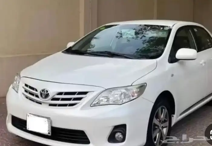 كداد عرعر دومه 0