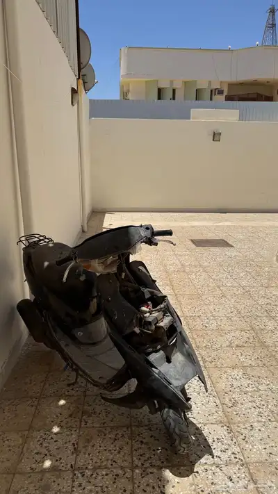 دباب بطة للبيع 0