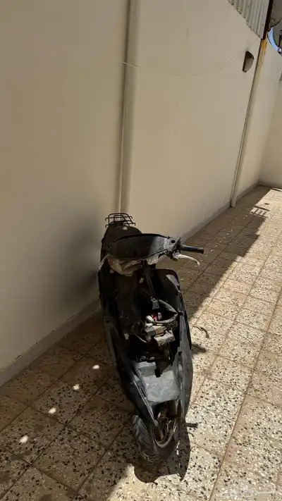 دباب بطة للبيع 2