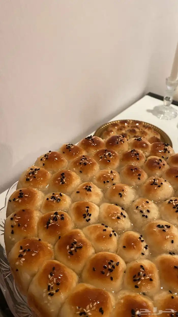 خلية نحل 0