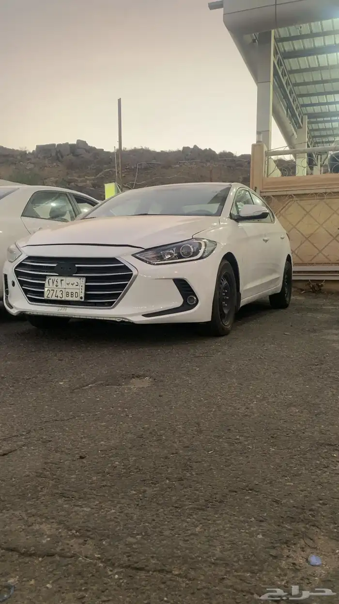 مرشوش حزام 1