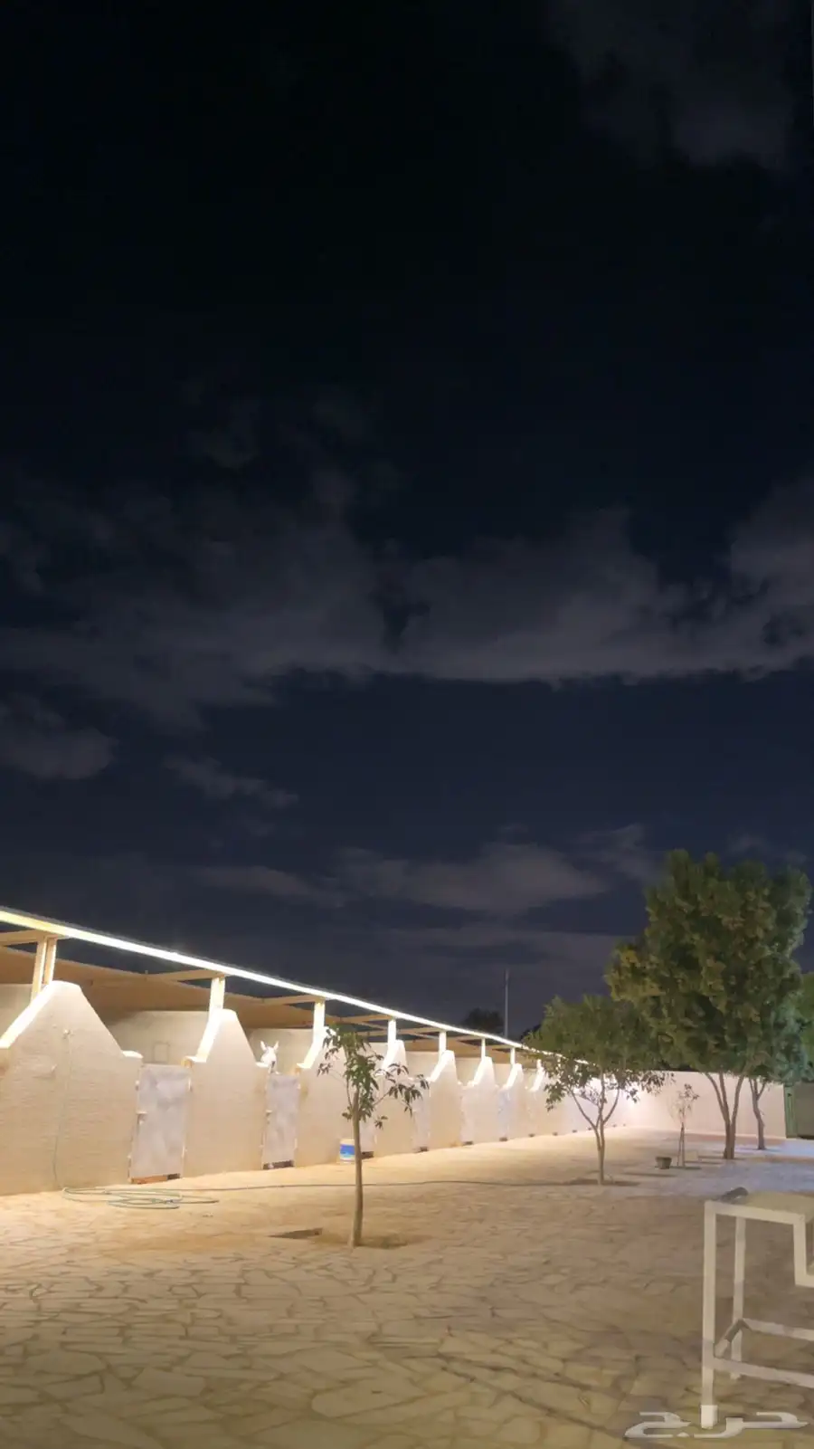 ايواء خيل في ديراب خلف مركز الملك عبدالعزيز للخيل 5