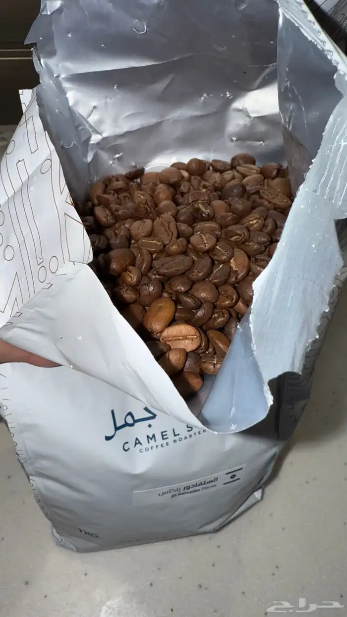 قهوة بن خطوة جمل 4