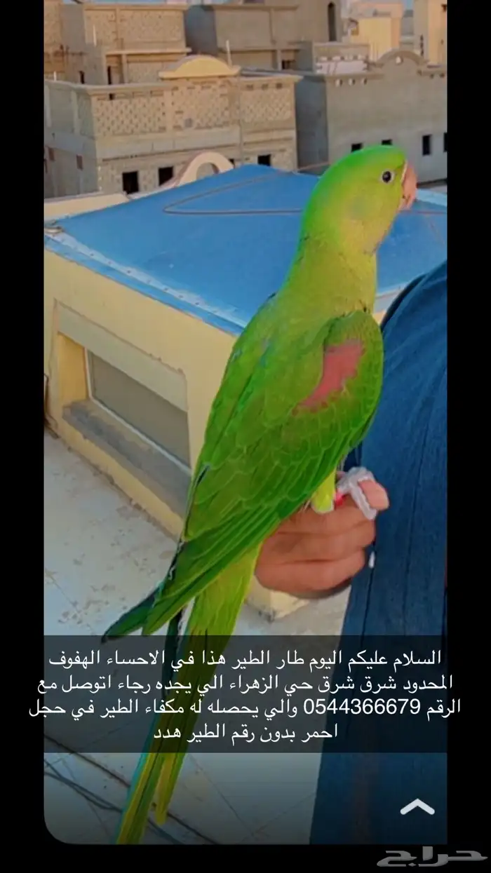 مفقود دره نيبالي 0