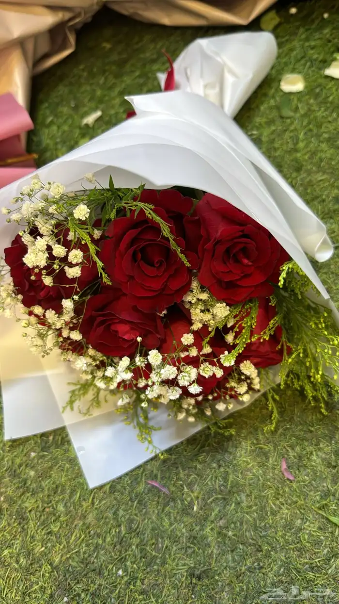 تشريع سيارات عرسان 45