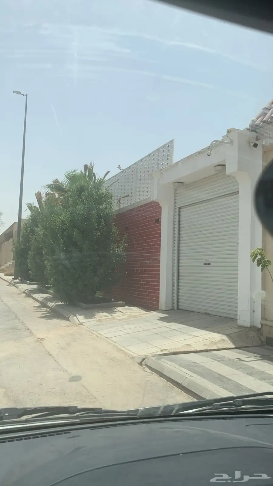 تمور عضويه فاخره 1