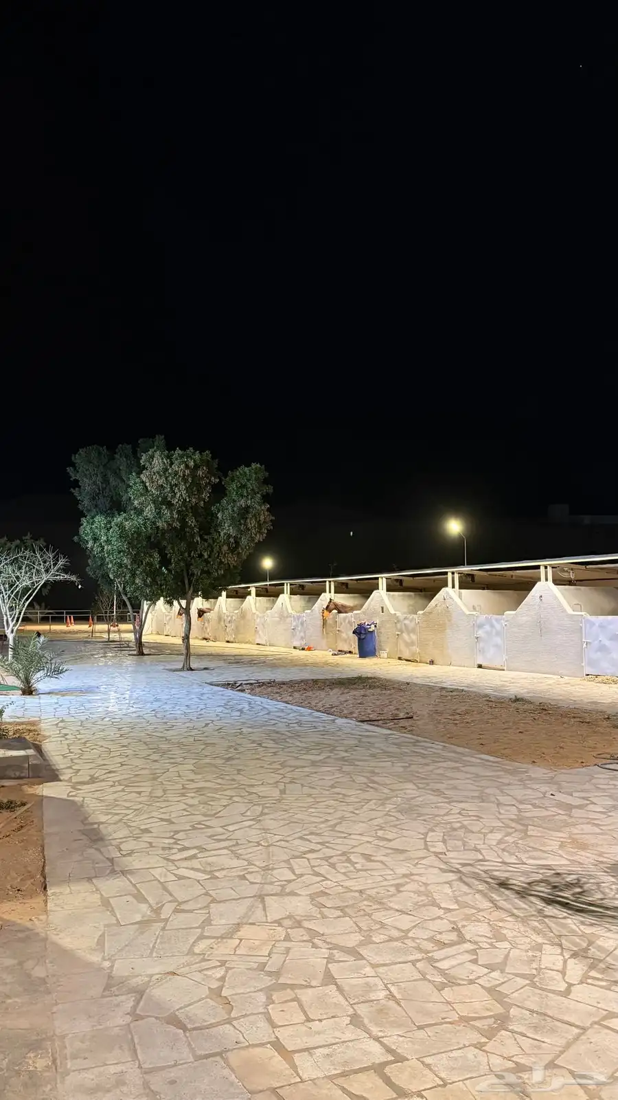 ايواء خيل في ديراب خلف مركز الملك عبدالعزيز للخيل 0