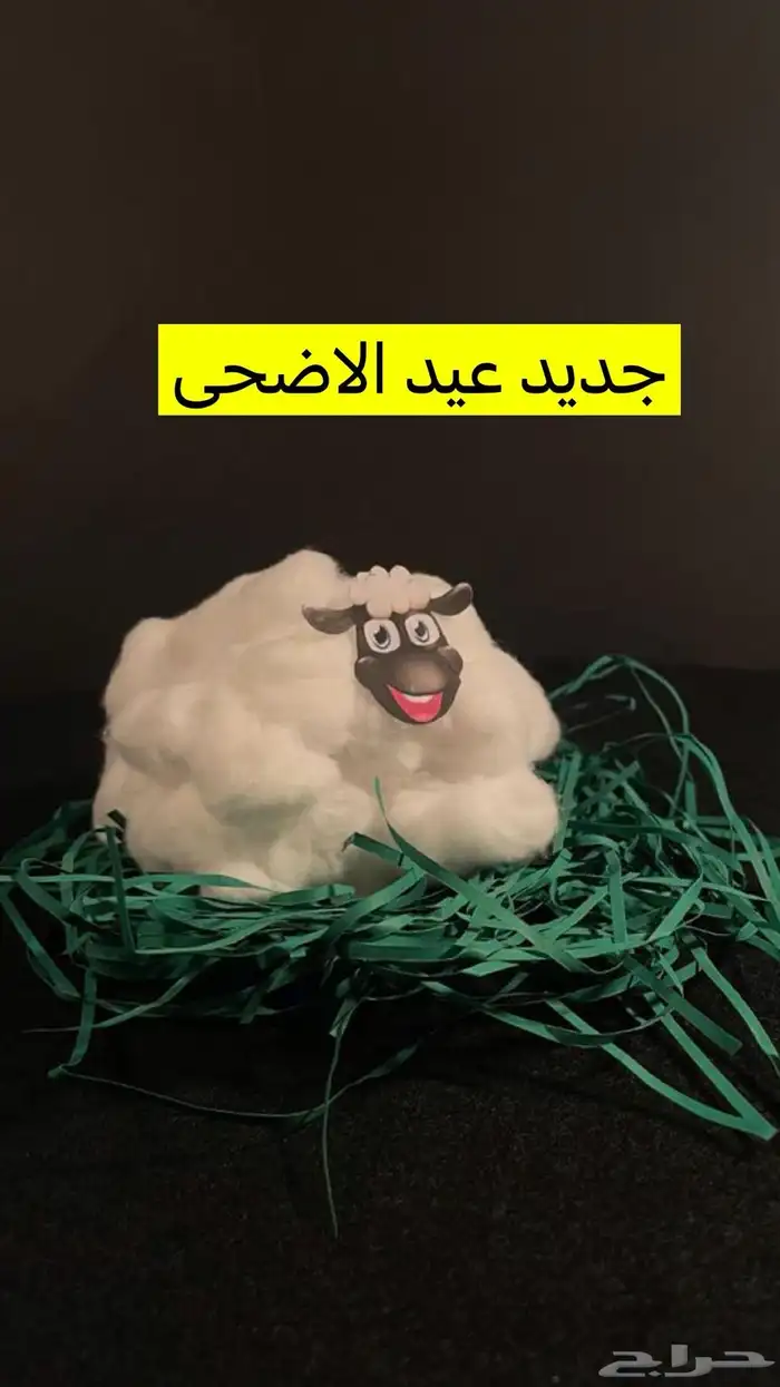 بخورمستكه معطر توزيعات لجميع المناسبات وحلويات للاطفال 19