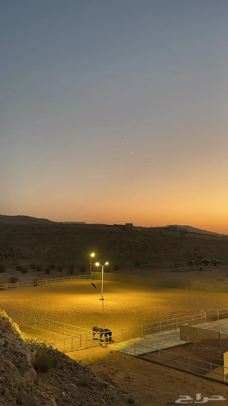 ايواء خيل في ديراب خلف مركز الملك عبدالعزيز للخيل 6