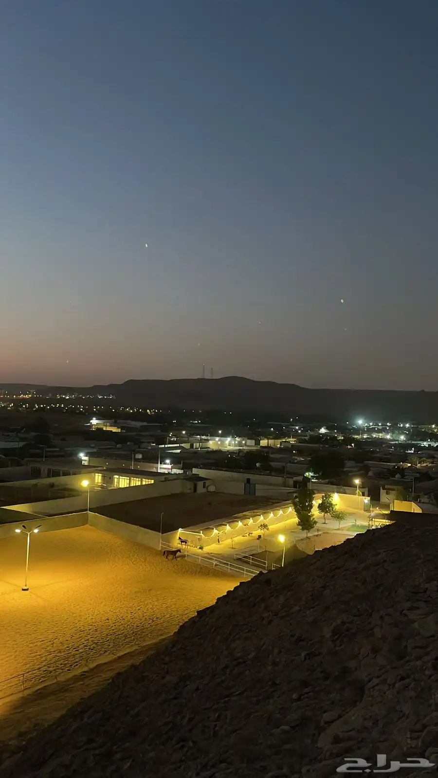 ايواء خيل في ديراب خلف مركز الملك عبدالعزيز للخيل 7