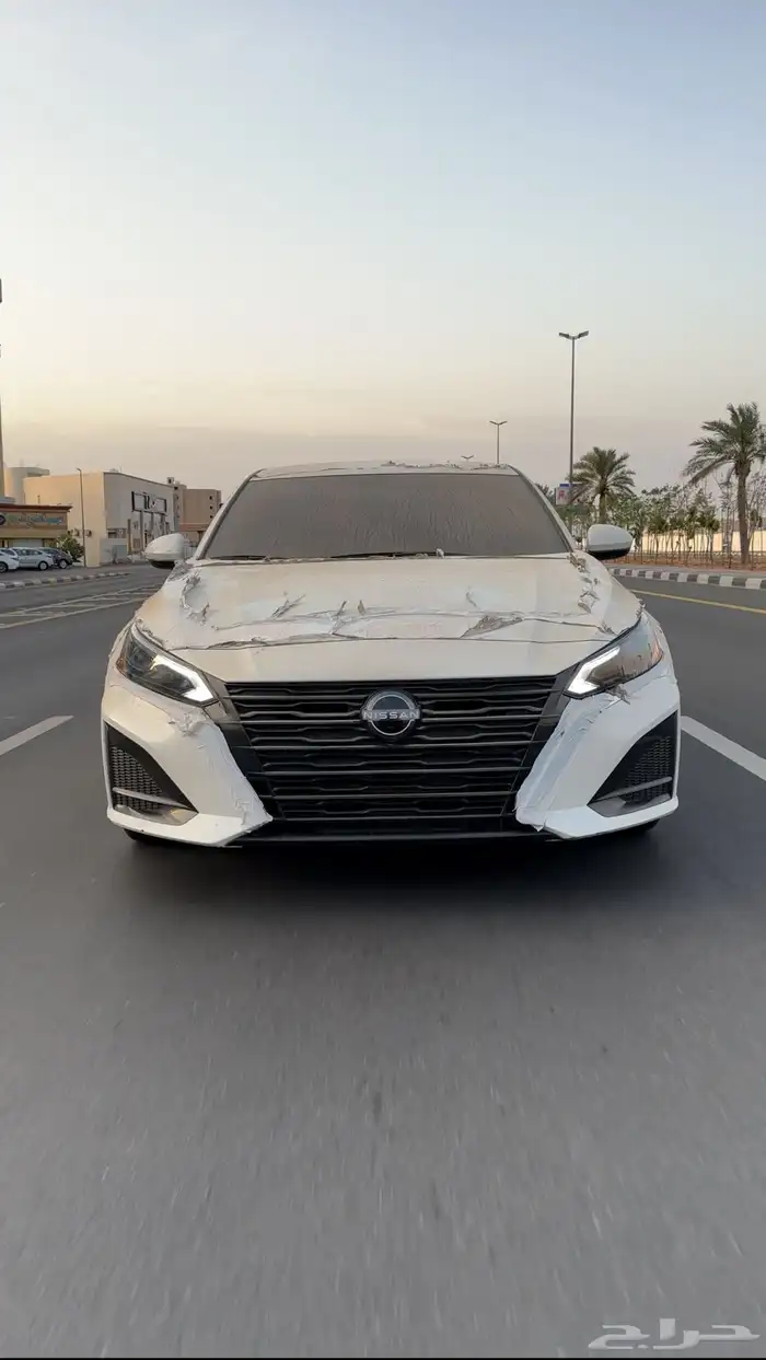 التيماء 2023 1