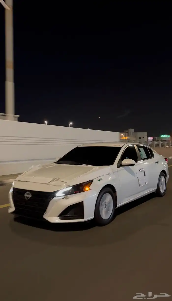 التيماء 2023 3