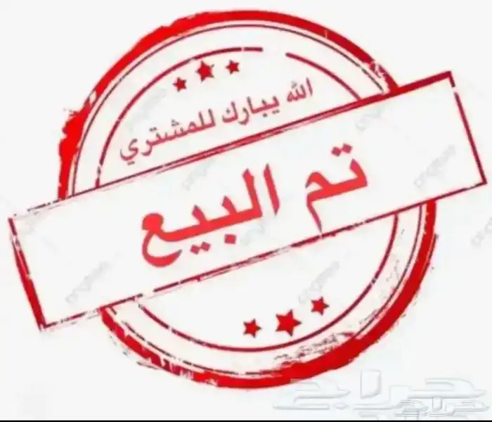 للبيع دجاج بلدي كفوو ألوان فواتح (( تم البيع تم البيع )) 8