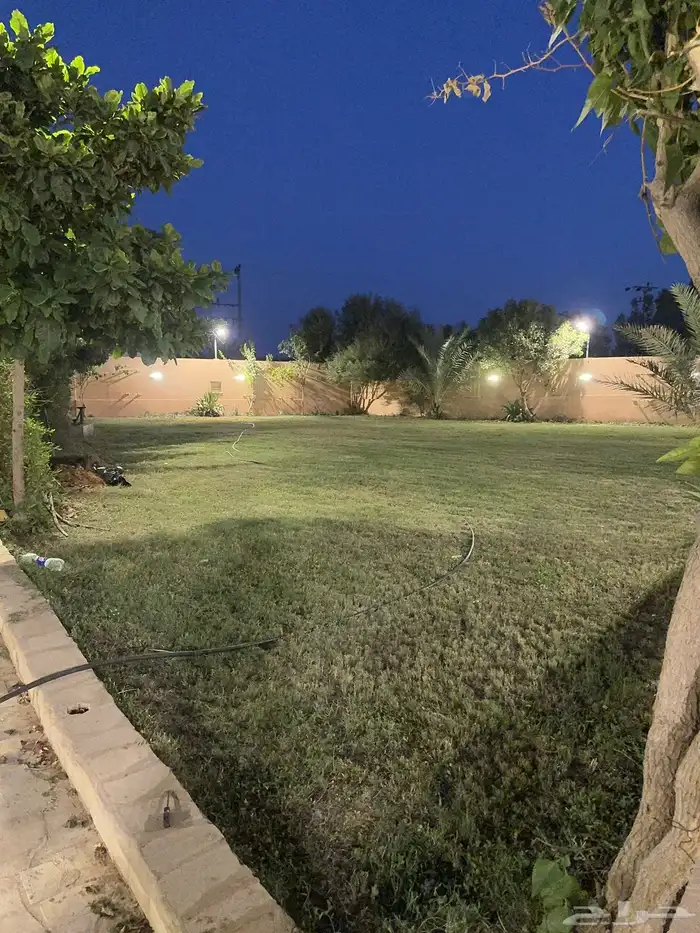 مزرعة للايجار اليومي في سدير 12