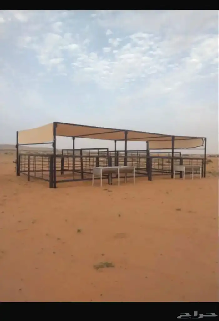 مضلات ابل و شبوك ابل 10