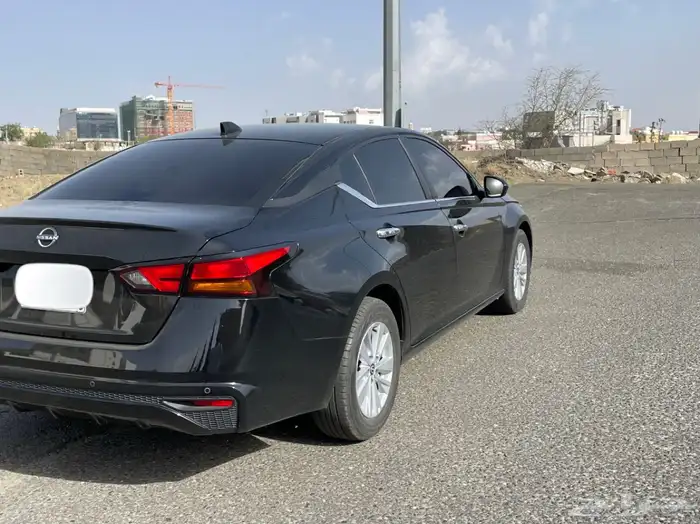 التيما استاندر 2025 1