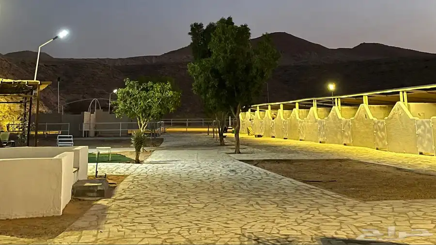 ايواء خيل في ديراب خلف مركز الملك عبدالعزيز للخيل 4