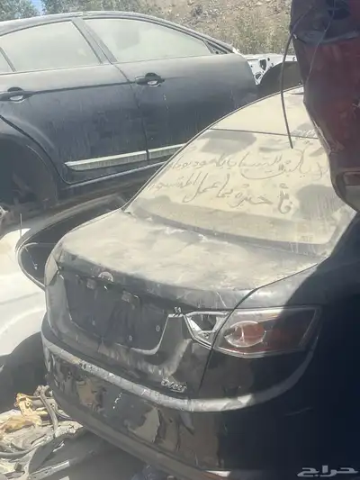 فاو اولي 0