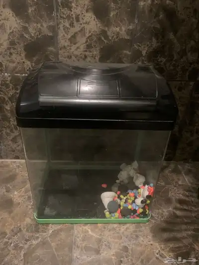 سير كهربائي هيدروليك وحوض سمك 2