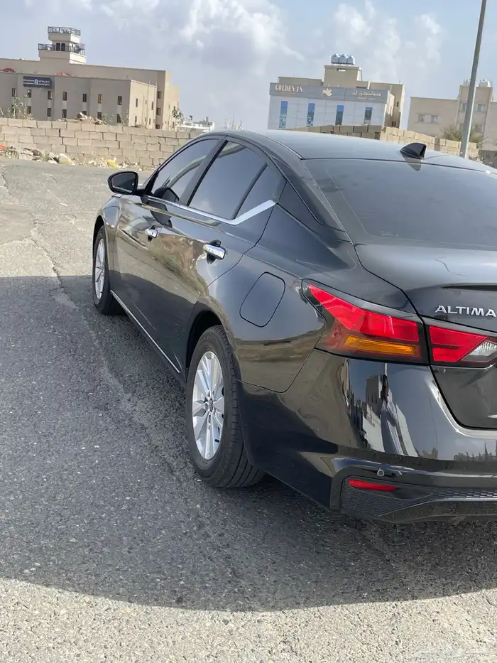 التيما استاندر 2025 15