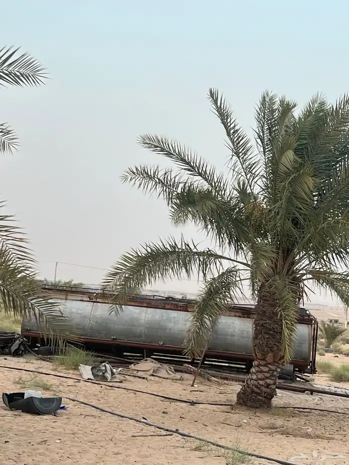 تانكي سكس للبيع بجنوطه 0