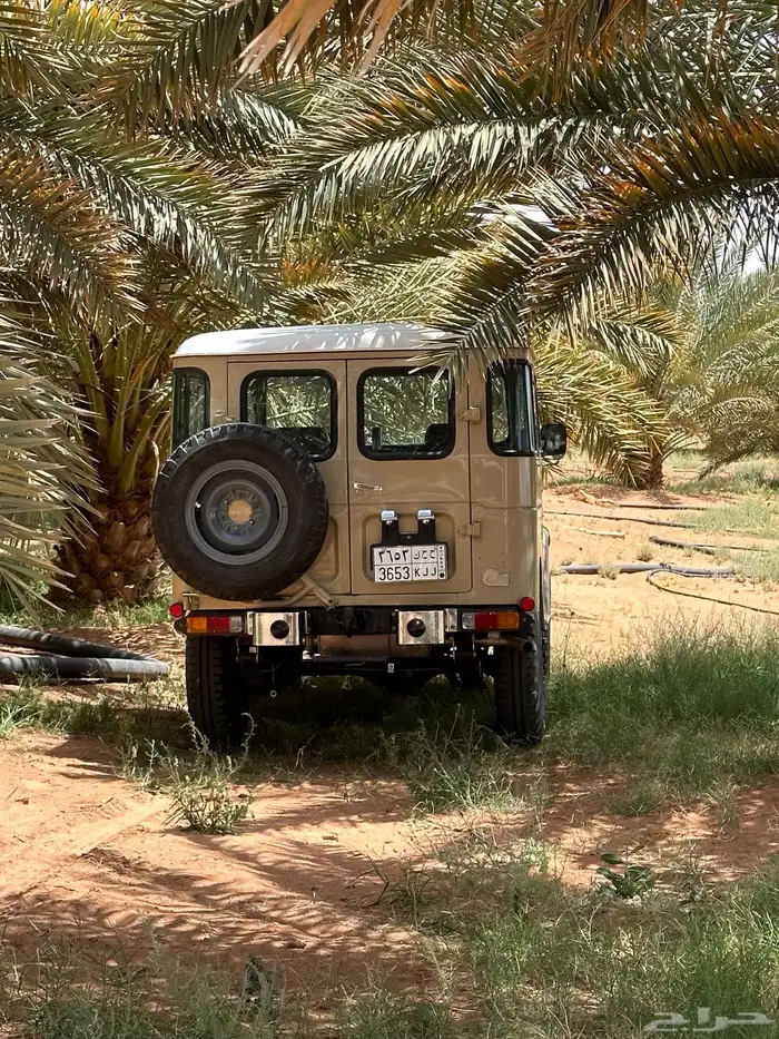 جيب ربع مصندق ابو شنب 2
