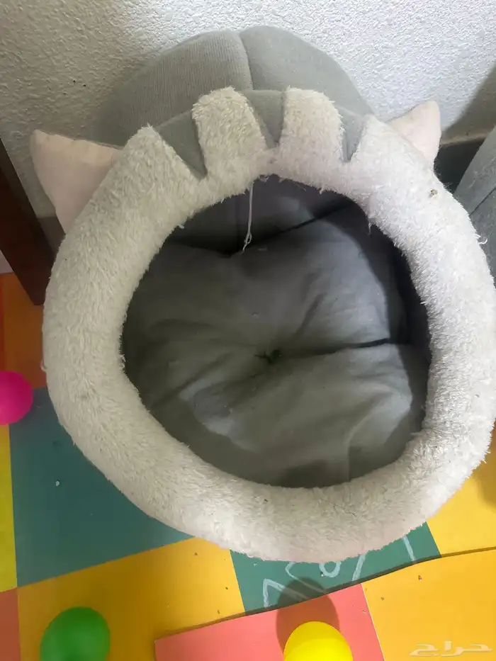 بيوت قطط للبيع 2