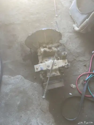 جربكس دينا 0