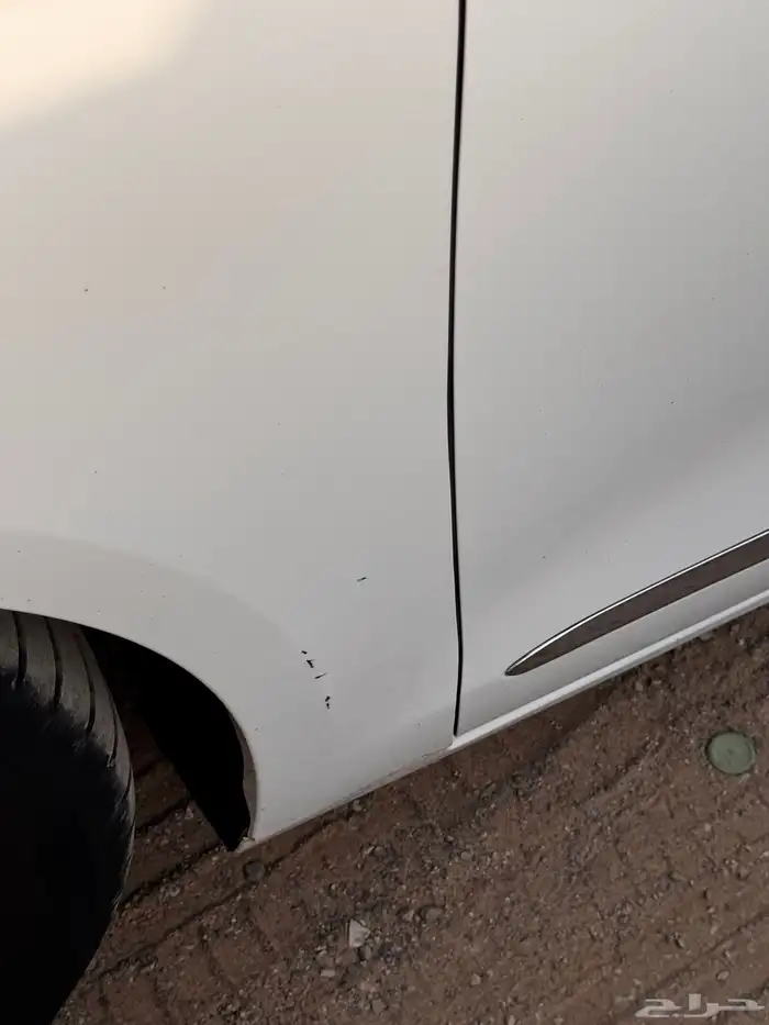 تورس 2021 او بدل f150 غماره 5