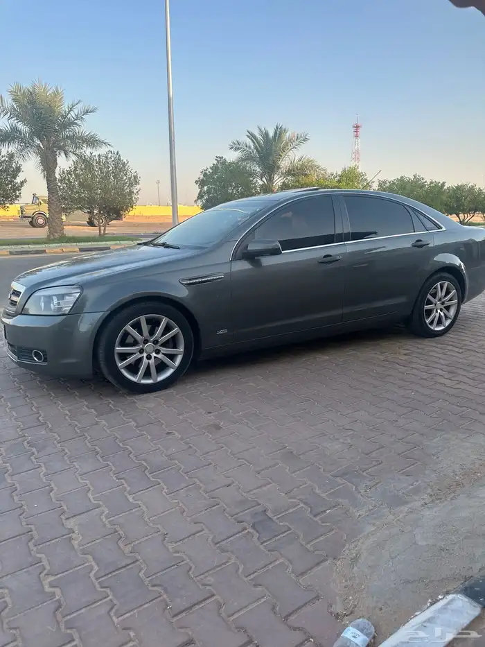 كابرس رويال 2011 للبيع 3