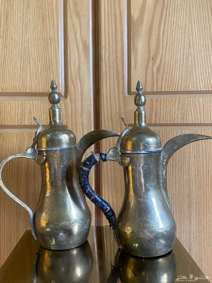 دلتين رسلان 0