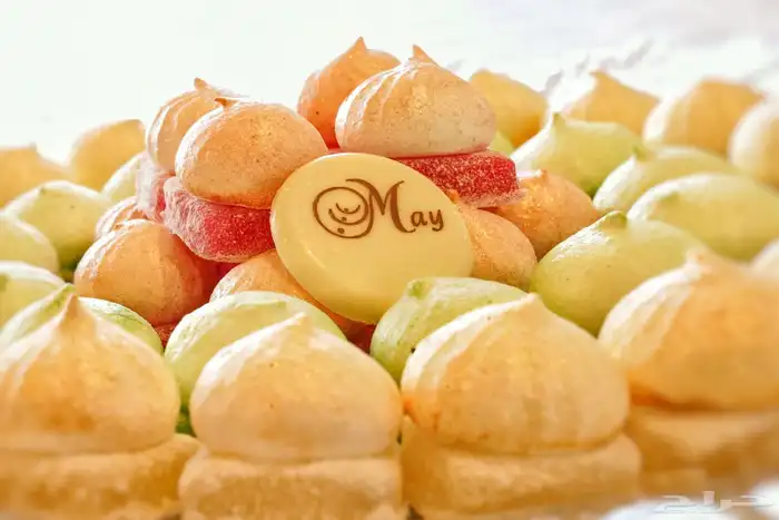 مصور فوتوغرافي 16