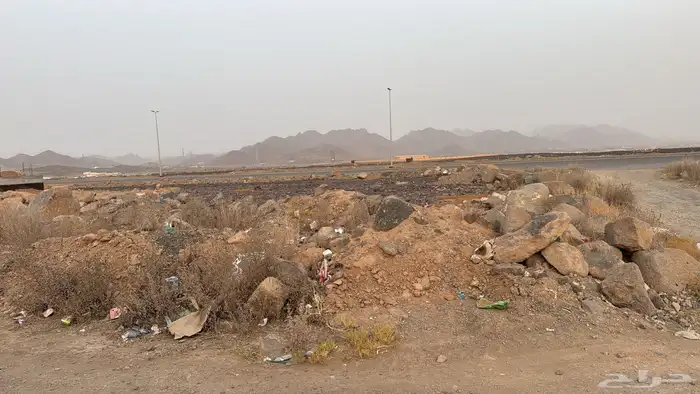 قطعين مفروزة بالعاقول طول 15 5