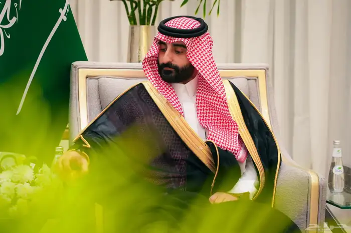 مصور فوتوغرافي 22