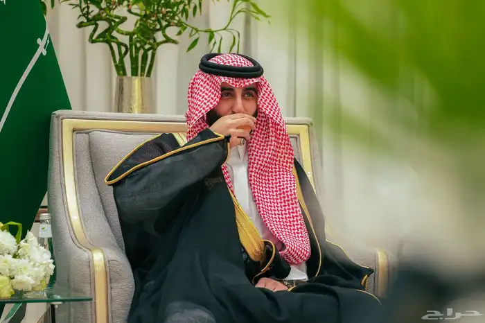 مصور فوتوغرافي 29