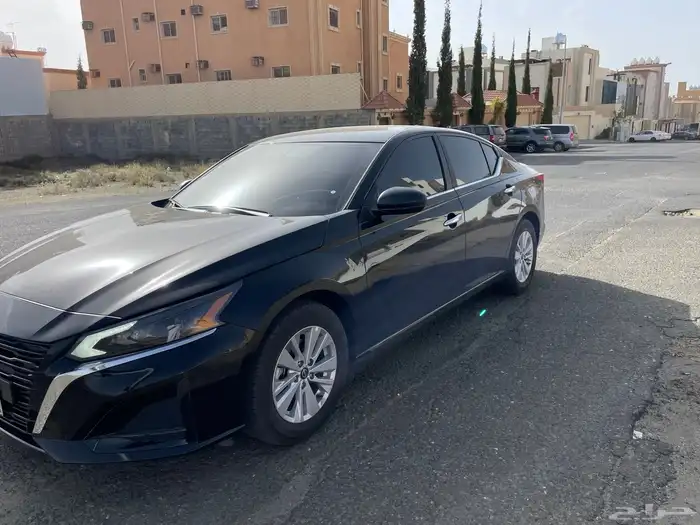 التيما استاندر 2025 8