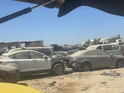 فاو اولي 5