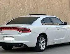 يوجد لدينا جميع أنواع جيرات الامريكة مستوردة 4